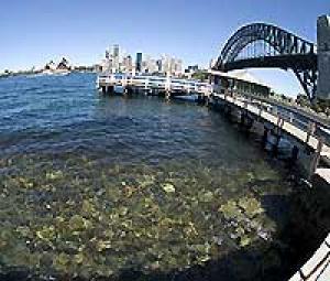 Sydneys harbour 