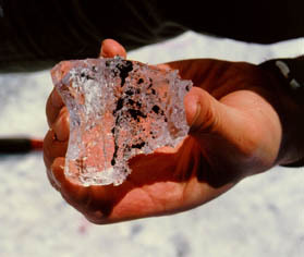 tagish lake meterite on ice