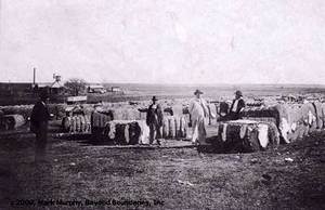 Click to enlarge texas-cotton-bales