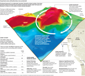 Bowie Seamount