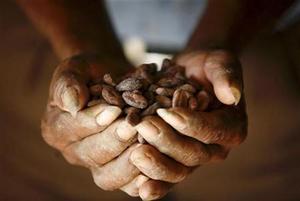Cacao beans