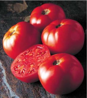 Tomatoes