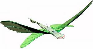 Click to enlarge robofly