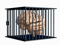 brain in prison