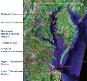 Habitats of the Chesapeake Bay 