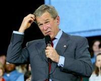 Bush scratches head