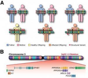Genetic mutations