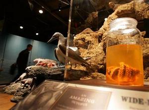 Charles Darwin Specimens