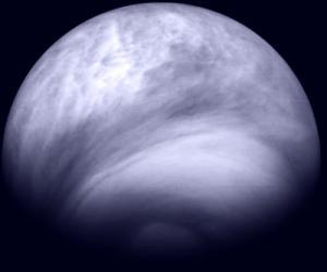 Venus