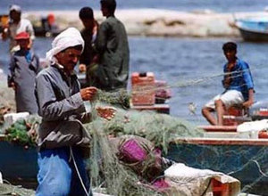 egypt fishermen