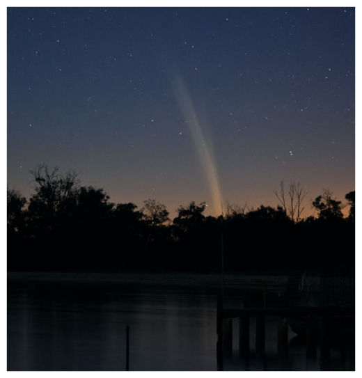 Lovejoy's Tail