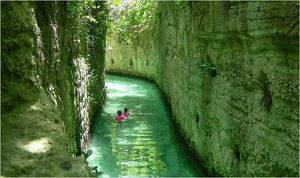 Click to enlarge canal of fossil coral