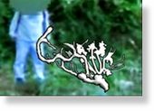 branch/alien