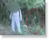 Screen shot of quives video