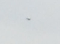 Click to enlarge Tennessee ufo close-up