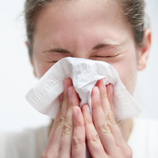 sneeze