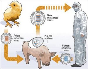 Colloidal Silver Secrets