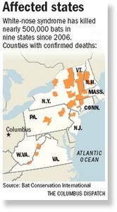 Affected states with white-nose syndrome