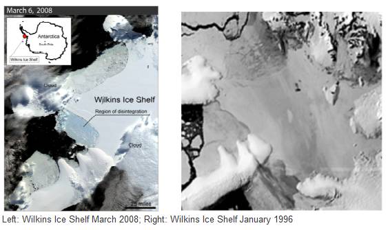 Wilkins Ice Shelf 1996 2008