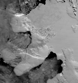 Click to enlarge Wilkins in Nov 2008 - icing up