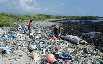 Click to enlarge Common Dreams plastic pacific
