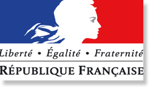 france ponytail