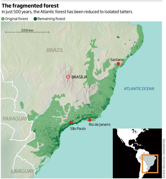 Click to enlarge Image