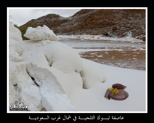 Saudi snow January 2008