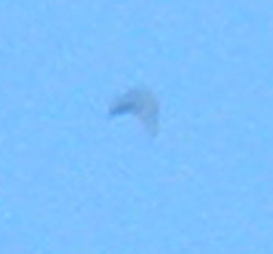 Colorado ufo