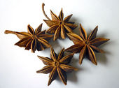 Chinese spice star anise