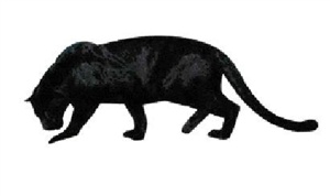 Black panther