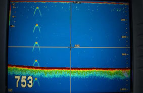 Loch Ness sonar image