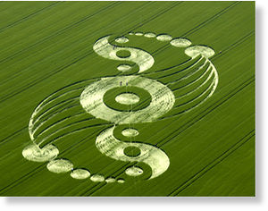 Crop Circle