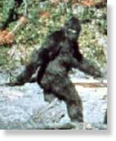 Bigfoot