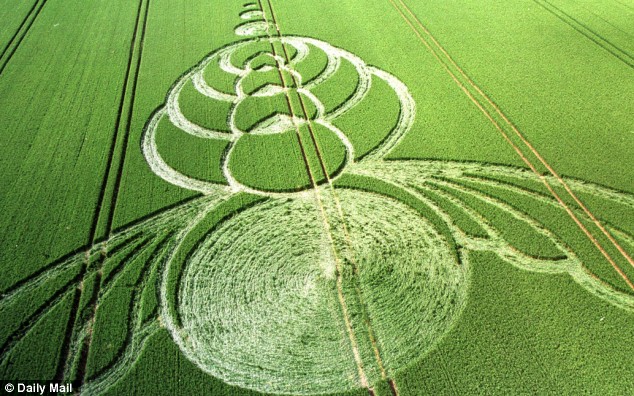 Click to enlarge Wiltshire crop circle 2004