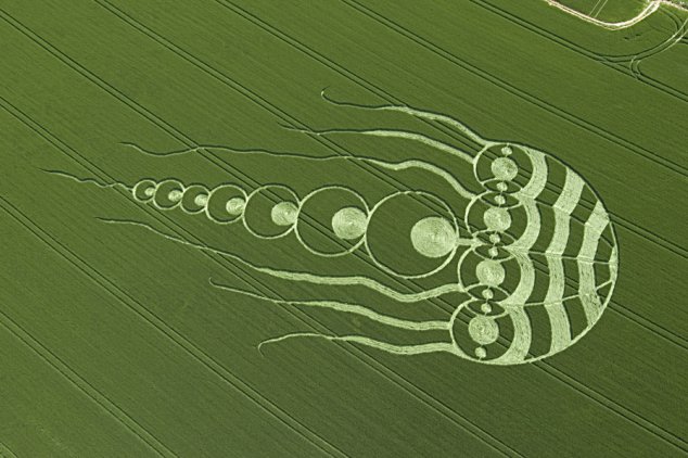 Jellyfish crop circle