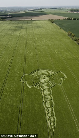 Dragonfly crop circle