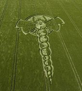 dragonfly cc