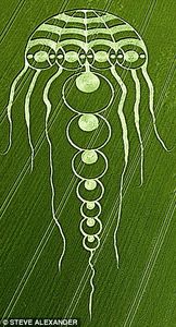 Click to enlarge Jellyfish cc