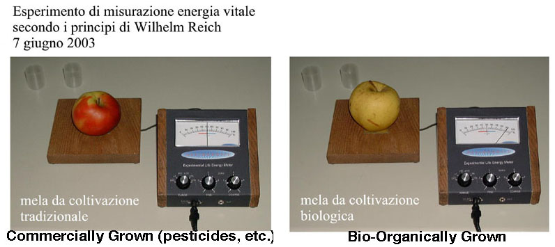 orgometer