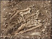 Click to enlarge A torso found in the UK burial pit