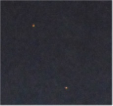Seascale ufos