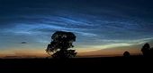 noctilucent clouds