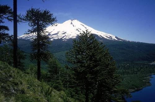 Chile countryside