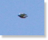 Click to enlarge Washington D.C. ufo closeup