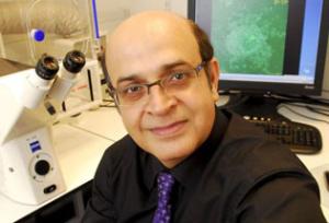 Dr Karim Nayernia