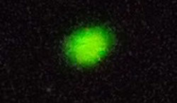 Boca Raton ufo I