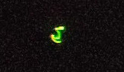 Boca Raton ufo III