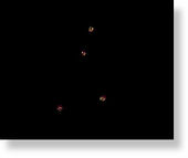 Click to enlarge Idaho ufos