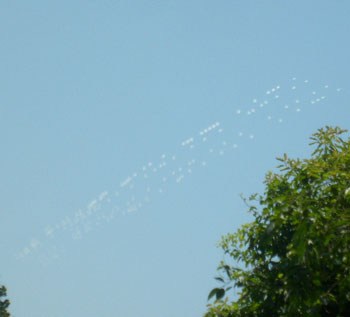 Click to enlarge Connecticut cloud puffs